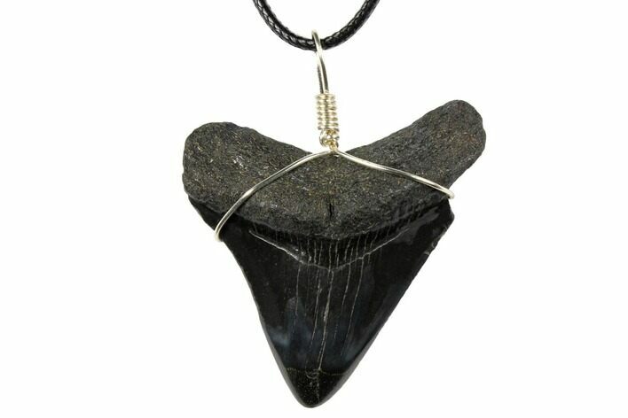 Fossil Megalodon Tooth Necklace #130953